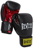 Benlee boxing glove