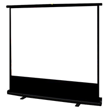 Duronic projector screen