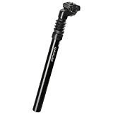 Zoom seatpost