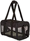 Amazon Basics AMZSC-001