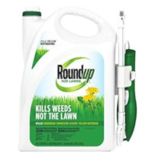 Roundup weed killer