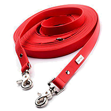 PetTec long dog leash