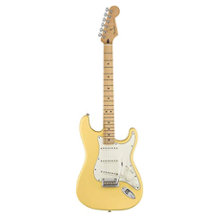 Fender 144502534