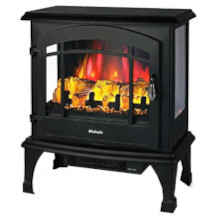 Electric fire