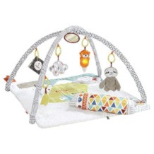 Fisher-Price baby gym