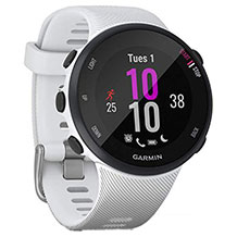 Garmin Forerunner 45S