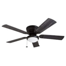 Prominence Home ceiling fan