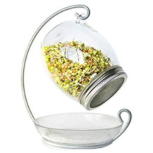 ALCEDIA sprouting jar