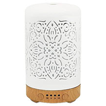 Earnest Living aroma diffuser