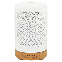 Earnest Living essential oil diffuser