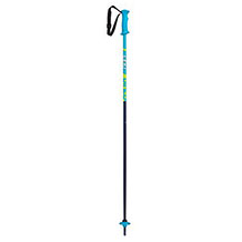 LEKI ski pole