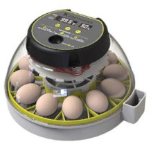 KEBONNIXS egg incubator