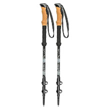 Cascade Mountain Tech walking stick