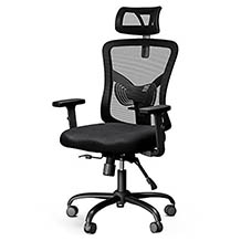 NOBLEWELL ergonomic office chair