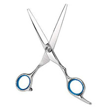 Bubuxy hairdressing scissors