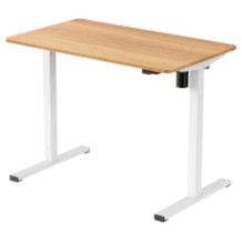 Flexispot adjustable desk