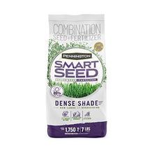 Pennington grass seed