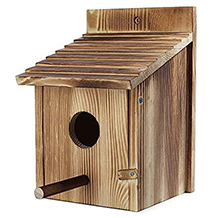 szm bird house