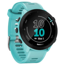 Garmin Forerunner 55