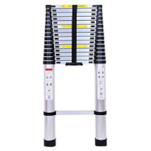 Bowoshen telescoping ladder