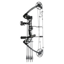 PANDARUS compound bow