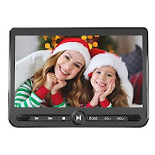 Arafuna headrest DVD player