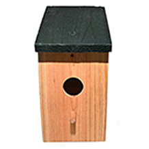 RAM ONLINE bird house