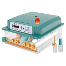 Egg incubator