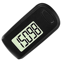 flintronic pedometer