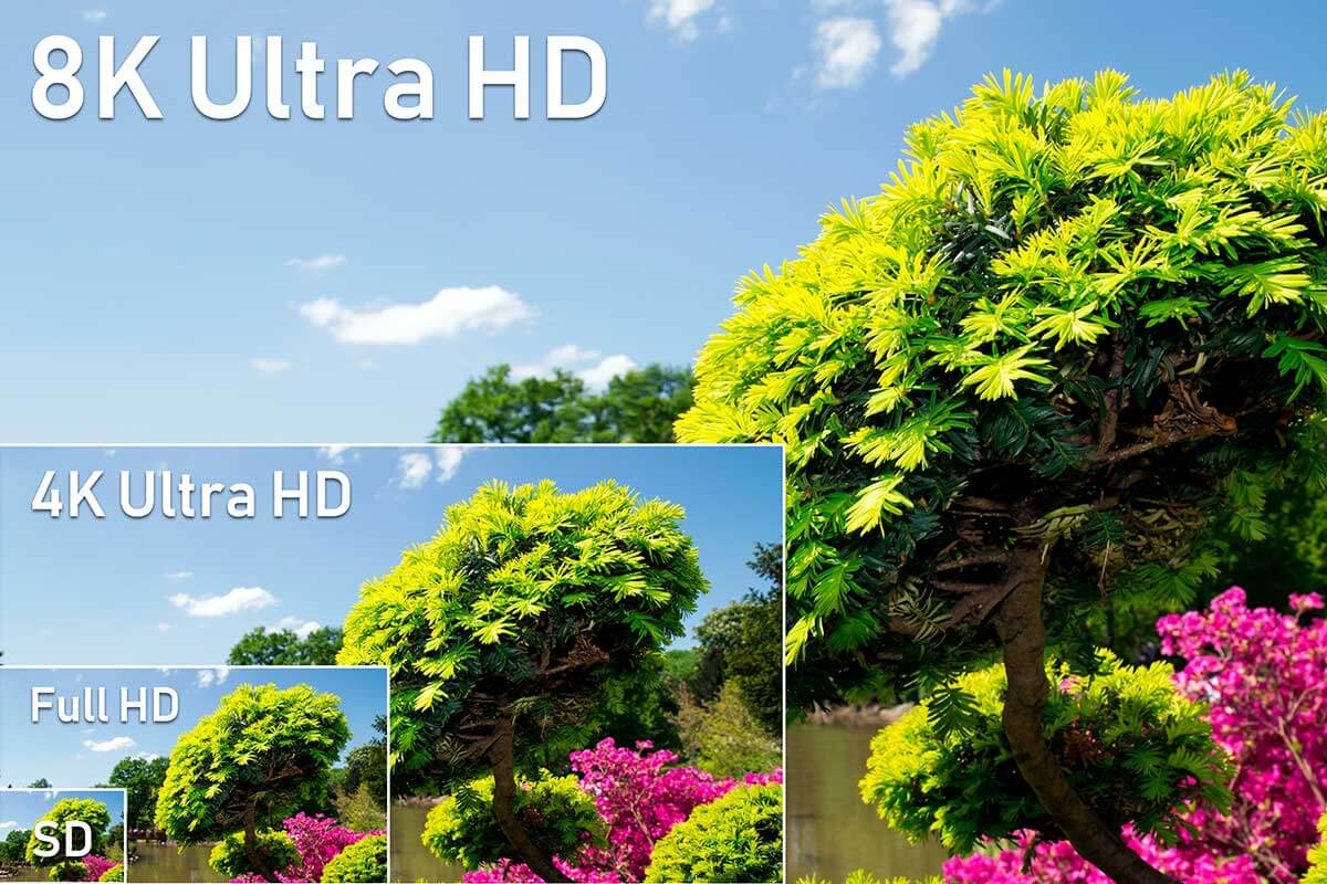 75inch TV review & comparison 2022 FinalCheck