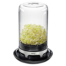 sprouting jar