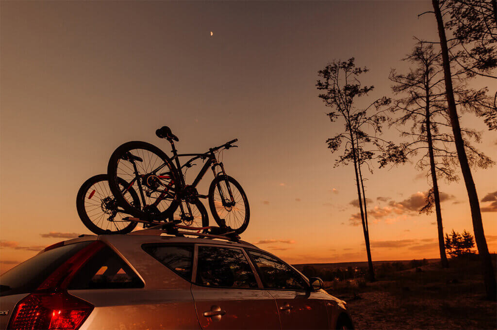 Roof-mounted bicycle carrier