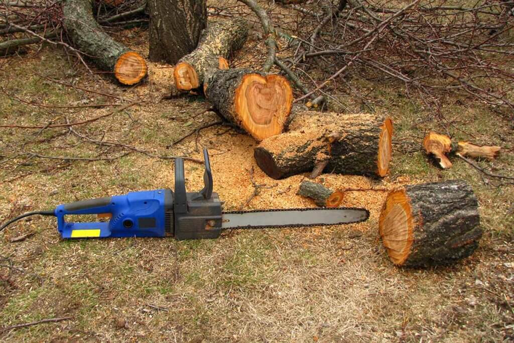 electric chainsaw next to cut tree trunks