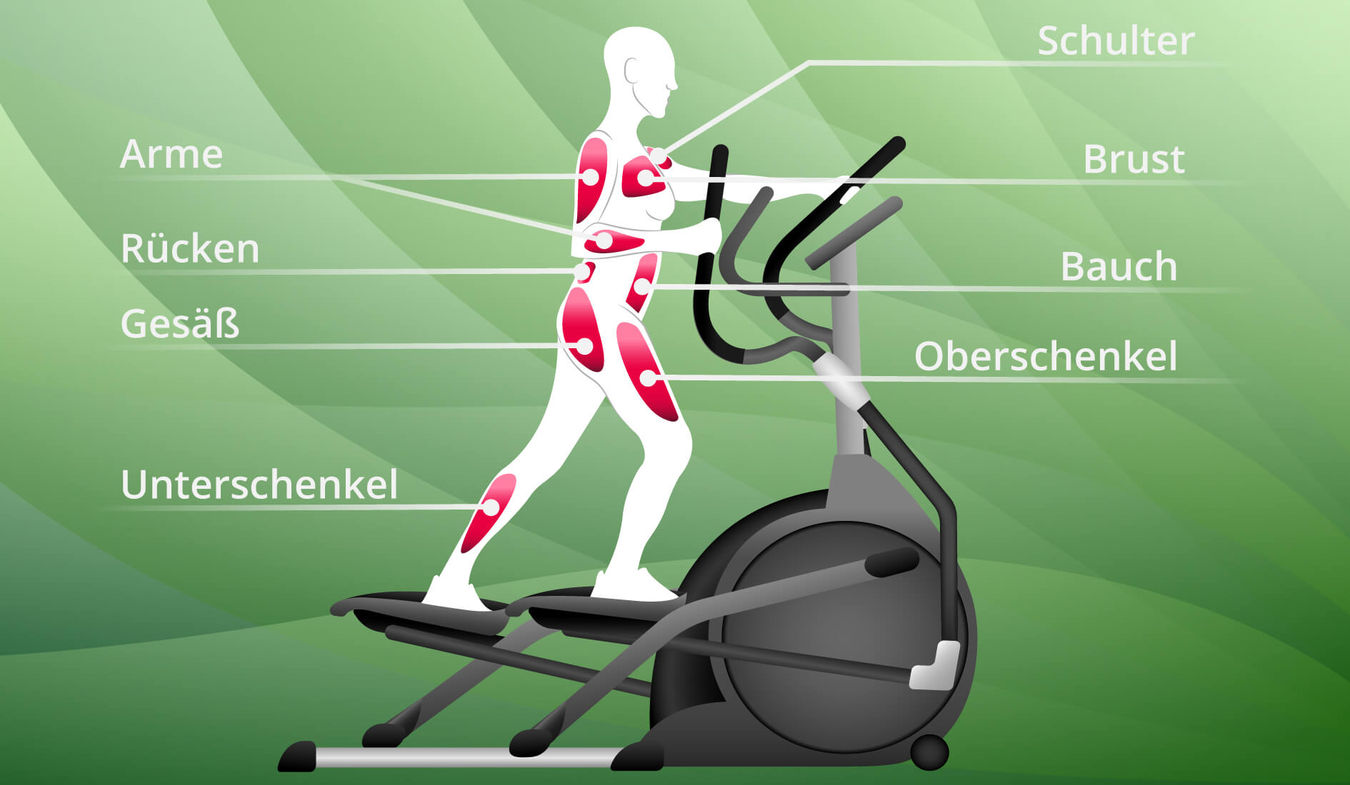 elliptical trainer review & comparison 2022 FinalCheck