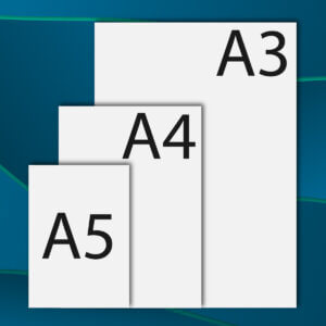 Icon leaf size