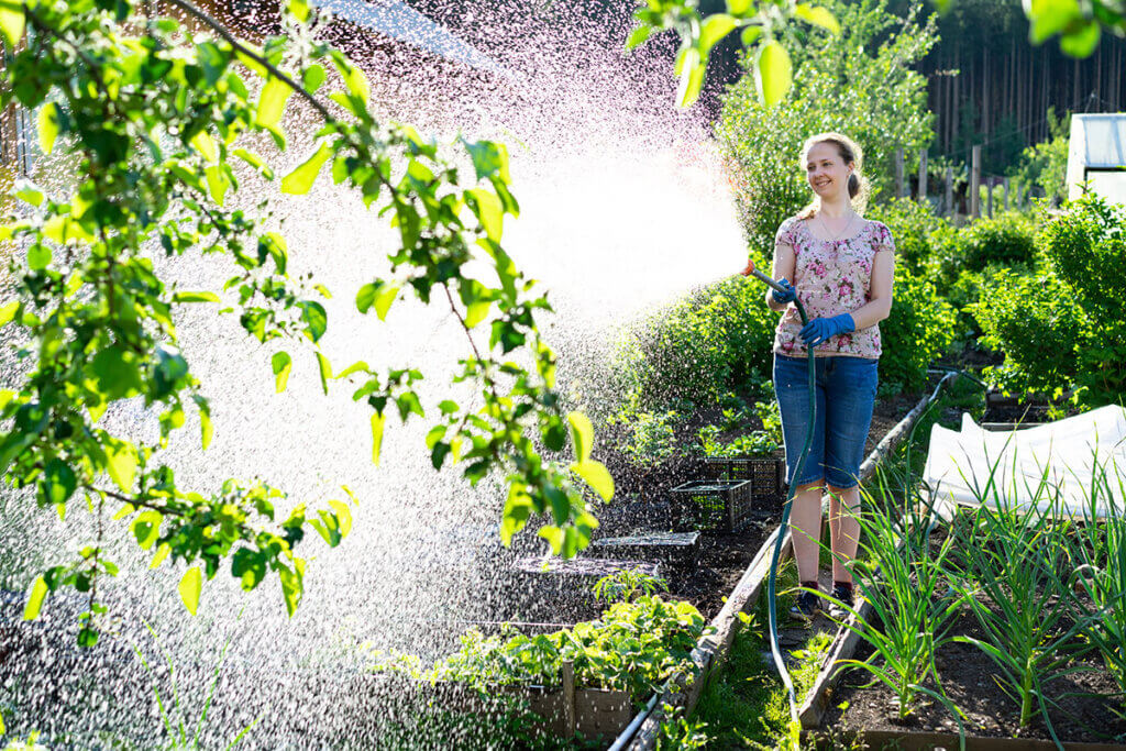 woman watering garden