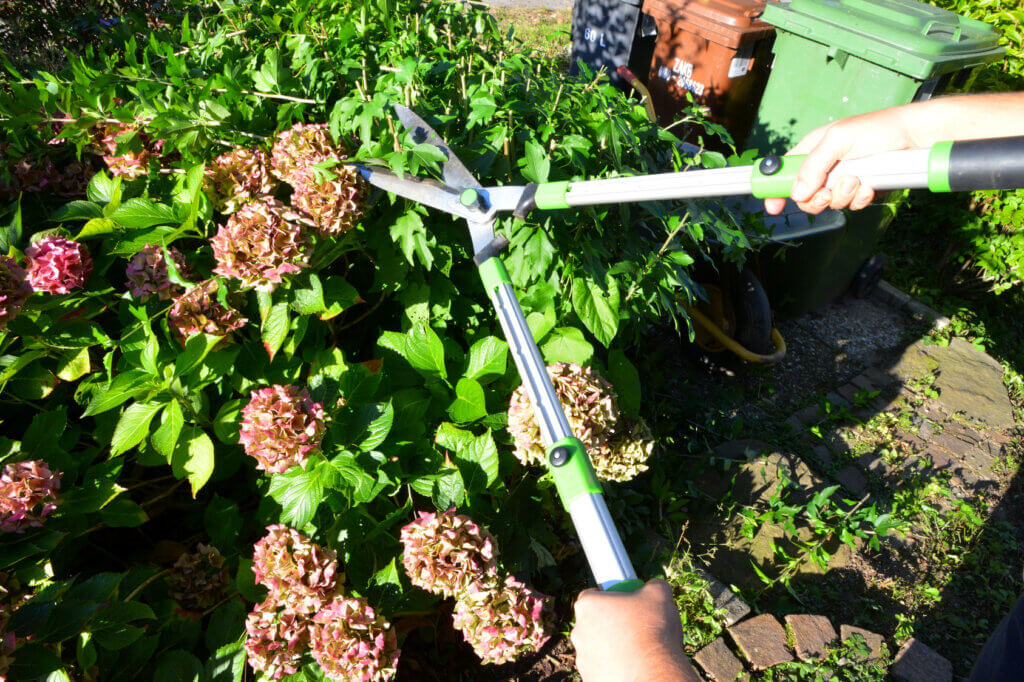 Hand hedge trimmer