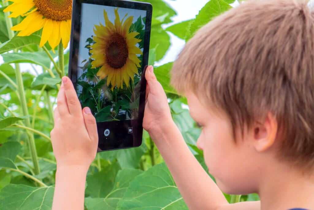 boy takes a photo with tablet