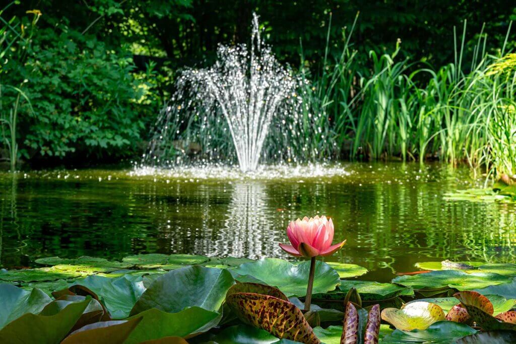 pond pump water feature fountain