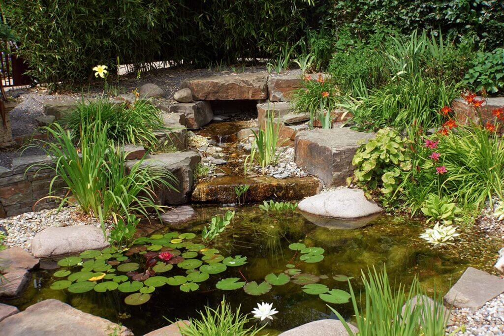 Garden pond with small waterfall