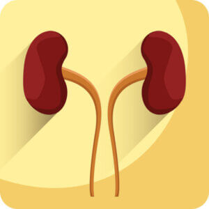 Kidney disease