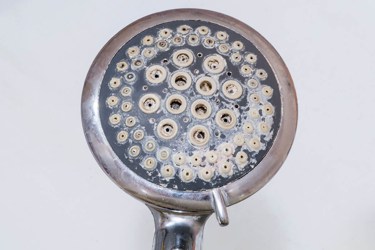 calcified shower head