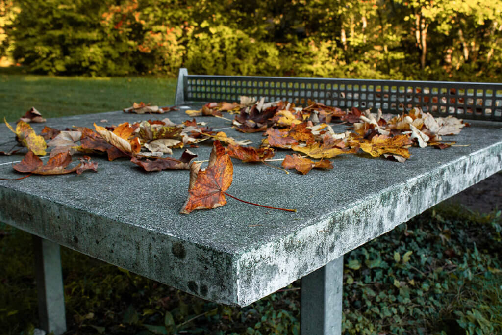 Stone table tennis table in autumn with foliage