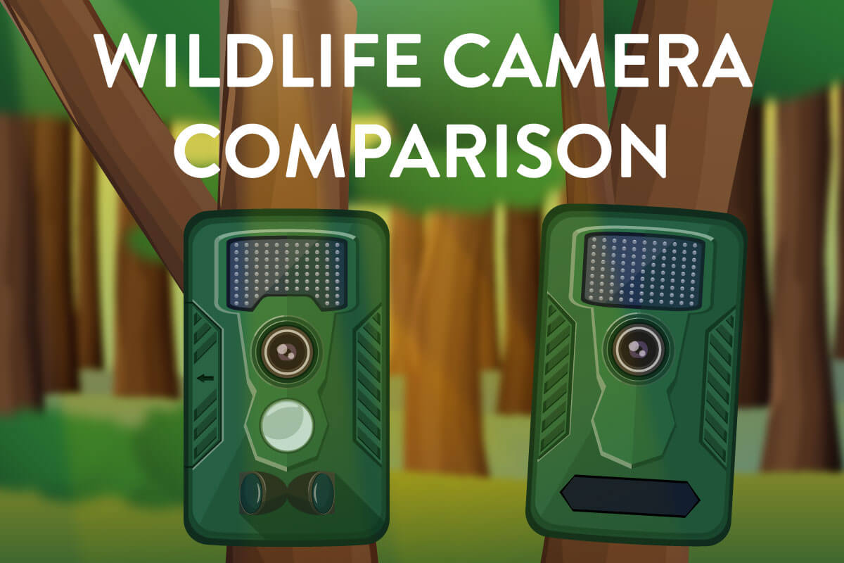 wildlife camera review & comparison 2022 FinalCheck